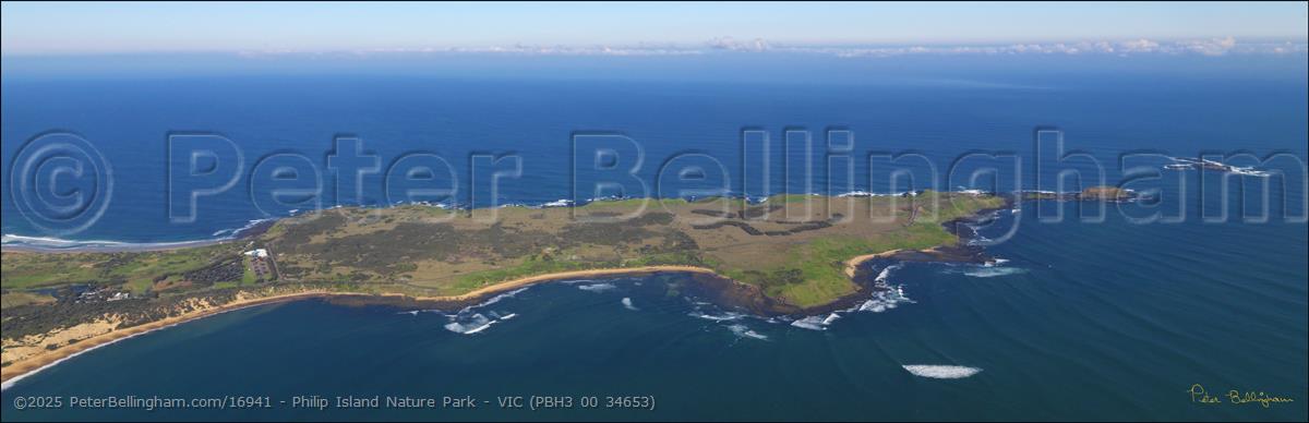 Peter Bellingham Photography Philip Island Nature Park - VIC (PBH3 00 34653)